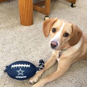 Meet your Posher, Savannah